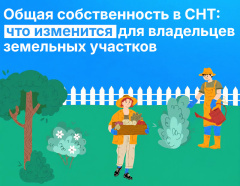 Общая собственность в СНТ: что изменится для владельцев участков